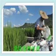 HW04农药废物处理-深圳农药废物处理-危废处理